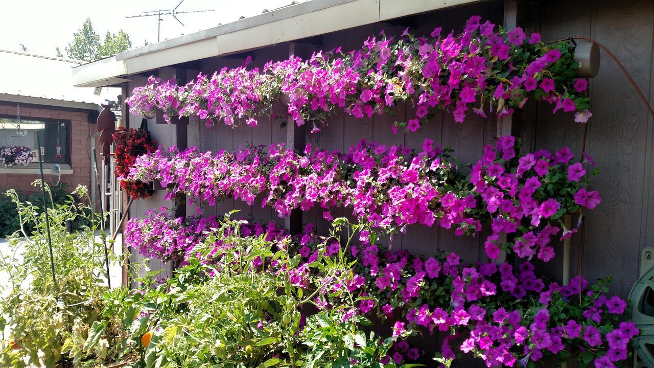 Swiss Mountain Motel Thayne Ngoại thất bức ảnh